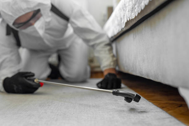 Professional Termite Control technician working in Los Ranchos, CA